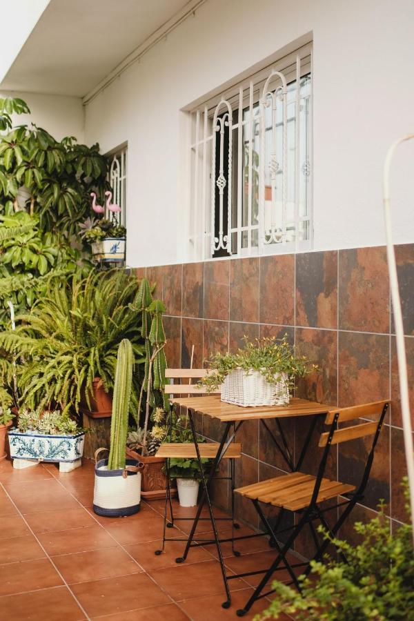 Apartamento De La Candelaria II Santa Cruz de Tenerife Eksteriør billede
